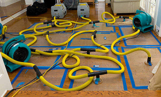Professional Water Extraction technician working in Woodleaf, NC